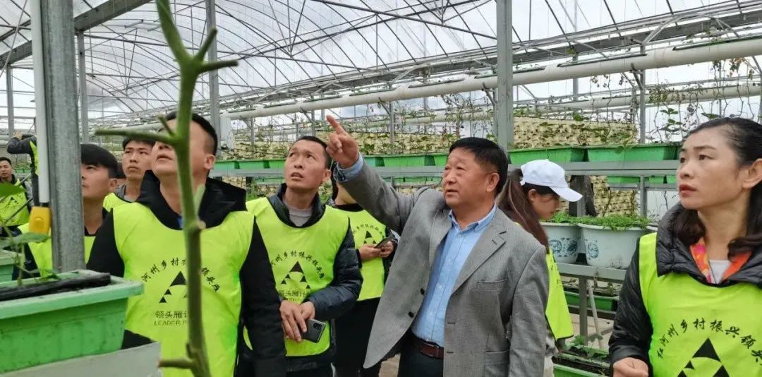 An agricultural expert from Honghe County, Yunnan shared farming experiences with the participants of the "Leader Plan".