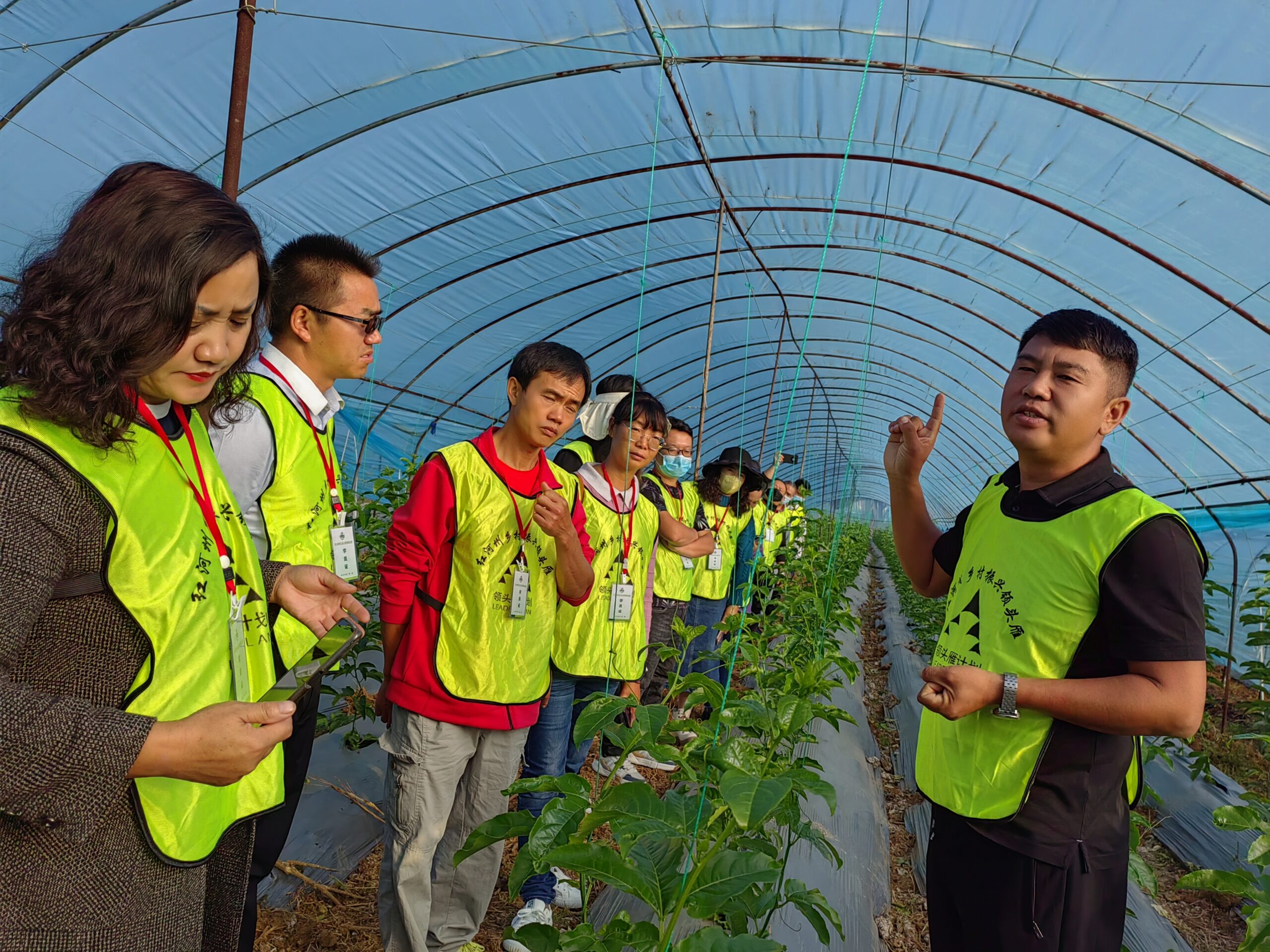 Participants of the "Leader Plan" attended a lecture in the conservatory farms of Honghe, Yunnan from a local expert concerning planting techniques.